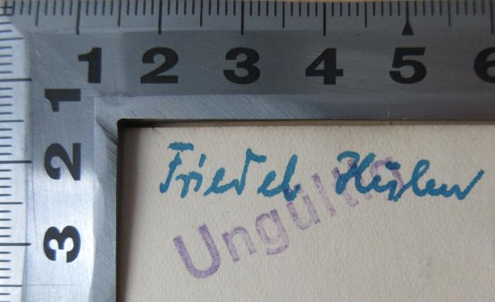 - (Hulen, Friedel), Von Hand: Name; 'Friedel Hulen'. 