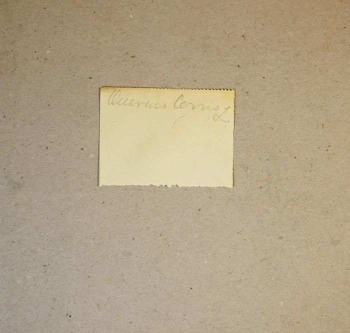 Papier -. S. 161 nah