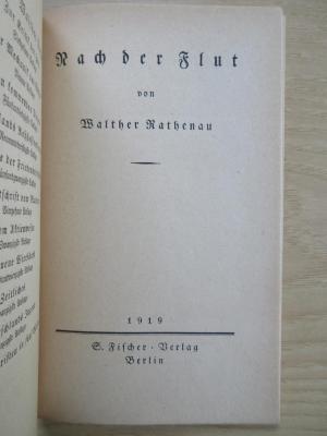 SH 1615 : Nach der Flut (1919)