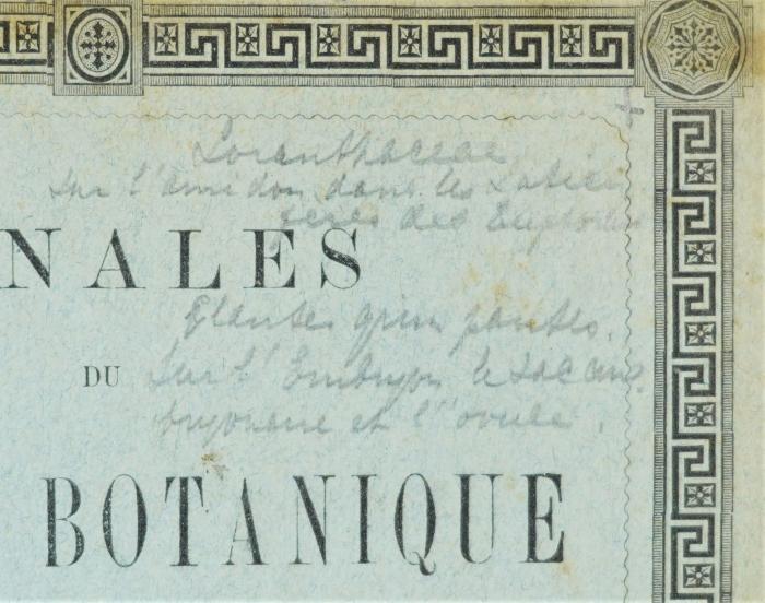 Detail