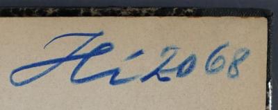 - (Landesrabbinerschule Franz Joseph in Budapest, Bibliothek), Von Hand: Signatur; 'Hi 2068'. 