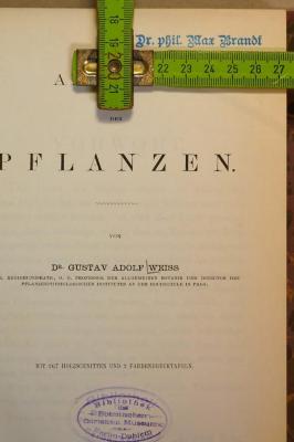 Stempel - Titelblatt mit Maßen