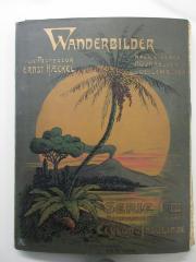 nicht eingearbeitet : Die Naturwunder der Tropenwelt : Ceylon und Insulinde.