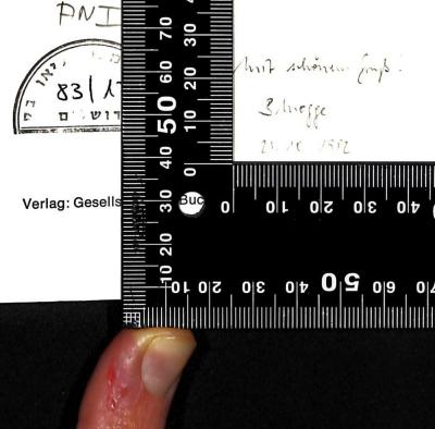 - (Leo Baeck Institute Jerusalem), Von Hand: Widmung, Datum, Name; 'Mit schönem Gruß,
B. Mogge

21.10.1982'. 