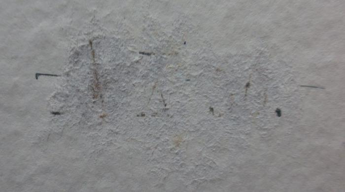 Ai 1040 2. Ex.: Robert Heinrich Graf von der Goltz : Botschafter in Paris 1863 - 1869 (1941);- (unbekannt), Von Hand: Nummer; '[.]X[..]'. 