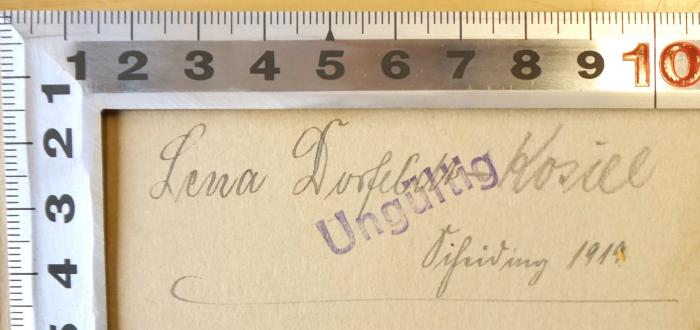 - (Dorfeldt-Kosiel, Lena), Von Hand: Name, Datum; 'Lena Dorfeldt-Kosiel, Scheiding 1919'. 