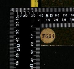 - (Jüdische Gemeinde zu Berlin), Etikett: Exemplarnummer; '7664'. 