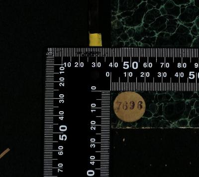 - (Jüdische Gemeinde zu Berlin), Etikett: Exemplarnummer; '7696'. 