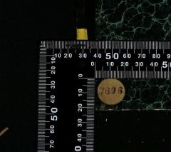 - (Jüdische Gemeinde zu Berlin), Etikett: Exemplarnummer; '7696'. 