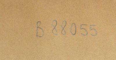 38/80/40189(0) (ausgesondert) : Die Schund-Litteratur und ihre Bekämpfung von seiten des Lehrers;- (Kammer für Arbeiter und Angestellte für Wien), Von Hand: Nummer; 'B 88055'. 