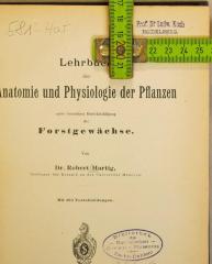 Stempel - Titelblatt mit Maßen