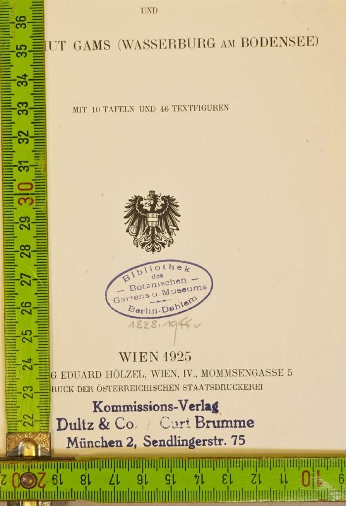 Stempel - Titelblatt mit Maßen