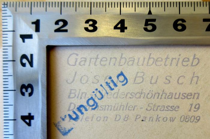 - (Gartenbaubetrieb Josef Busch), Stempel: ; 'Gartenbaubetrieb Josef Busch, Bln-Niederschönhausen Dammsmühler-Strasse 19 Telefon D 8 Pankow 0809'. 