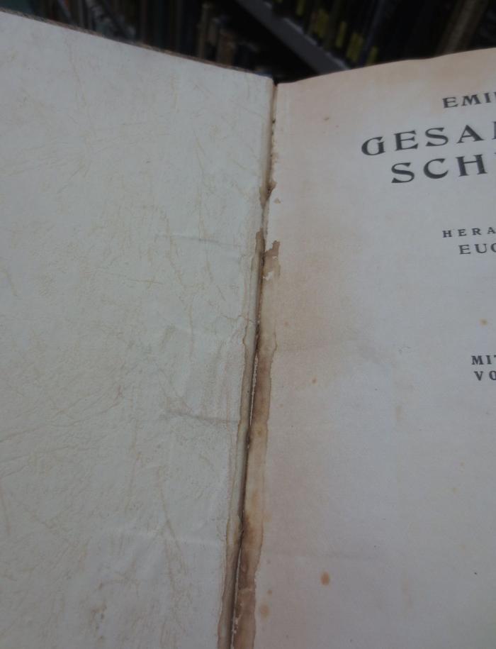 Hd 75 2. Ex.: Gesammelte Schriften (1923);- (unbekannt), Ausriss: . 