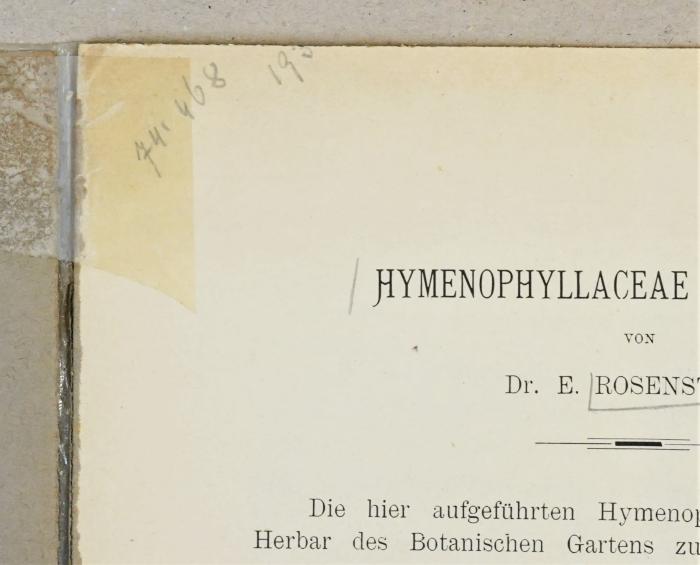 Detail