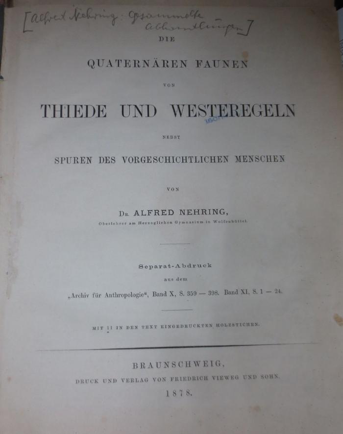 Ke 515 x: Die quaternären Faunen von Thiede und Westeregeln nebst Spuren des vorgeschichtlichen Menschen (1878)