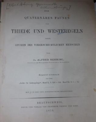Ke 515 x: Die quaternären Faunen von Thiede und Westeregeln nebst Spuren des vorgeschichtlichen Menschen (1878)