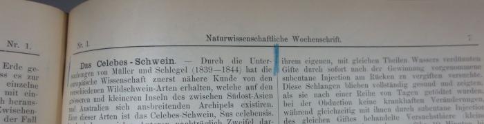 Ke 515 x: Die quaternären Faunen von Thiede und Westeregeln nebst Spuren des vorgeschichtlichen Menschen (1878);- (unbekannt), Von Hand: Annotation. 