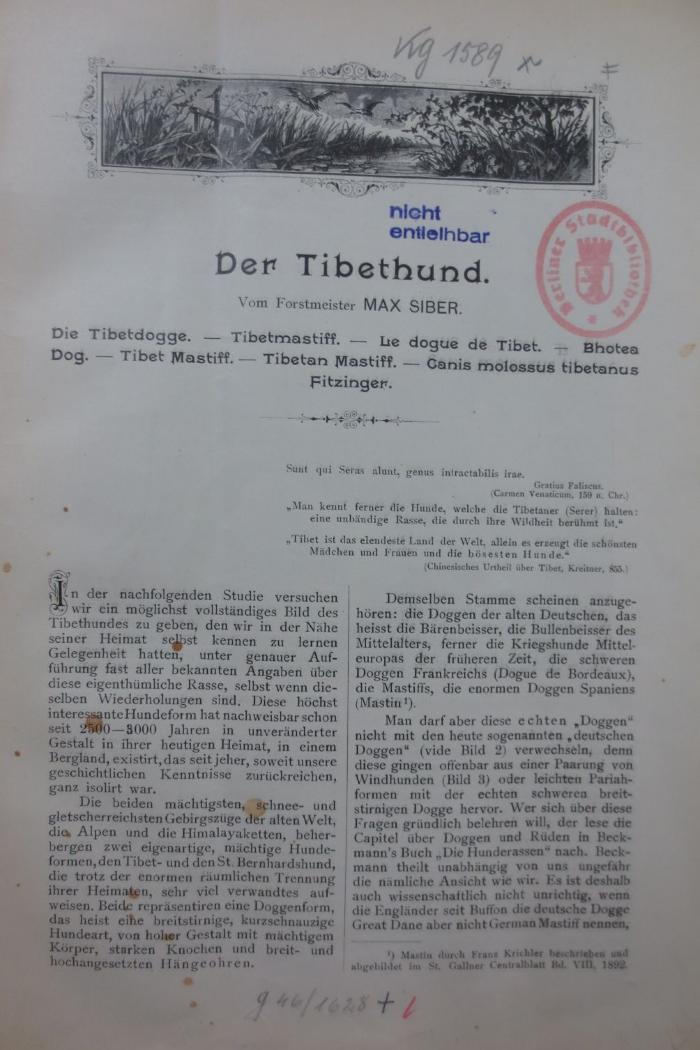 Kg 1589 x: Der Tibethund (1897)
