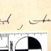 - (Honermeier, Emil;[...], Erwinius), Von Hand: Widmung, Autogramm, Ortsangabe, Datum, Name; 'Meinem lieben Erwinius zur freundlichen Erinnerung. Emil Honermeier. Greifswald, August 1926.'. 