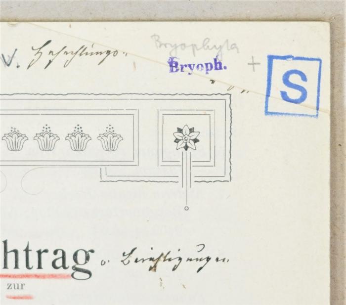 Detail