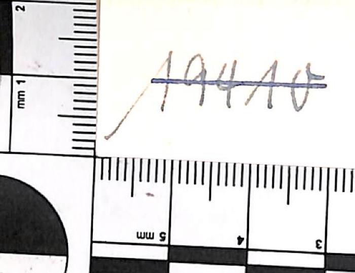 - (NSDAP-Gauarchiv und -museum Südhannover-Braunschweig), Von Hand: Signatur; '19410'. 