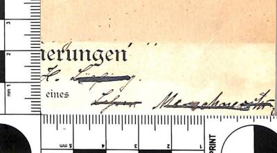 - (Läßing[?], H.;Merschneritz[?], [...]), Von Hand: Name, Berufsangabe/Titel/Branche; '[...] H. Läßing[?] / Lehrer Merschneritz[?]'. 