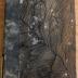 Z 4764 : [Satyrae] D. Jun. Juvenalis et Auli Persii Flacci Satyrae cum annotationibus Thomae Farnabii (1702)