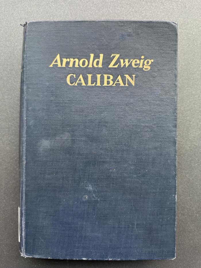 13 P 131 : Caliban oder Politik und Leidenschaft : Versuch über die menschlichen Gruppenleidenschaften dargetan am Antisemitismus (1927)