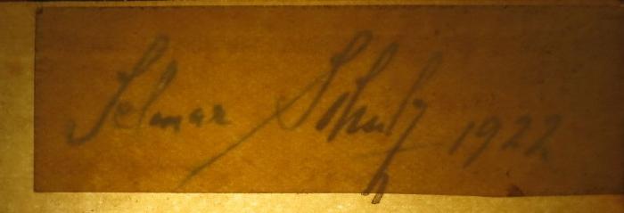Dw 123: Paul Wegener (1920);J / 1668 (Schulz, Selmar), Von Hand: Autogramm; 'Selmar Schulz 1922'. 