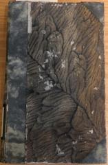 Z 4764 : [Satyrae] D. Jun. Juvenalis et Auli Persii Flacci Satyrae cum annotationibus Thomae Farnabii (1702)