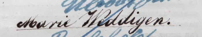 - (Weddigen, Marie), Von Hand: Name; 'Marie Weddigen'. 