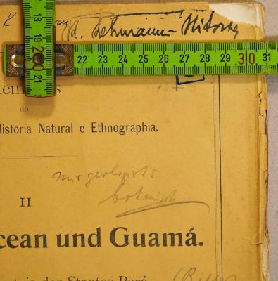 - (Lehmann-Nitsche, Robert), Von Hand: Name; 'R. Lehmann-Nitsche'. 