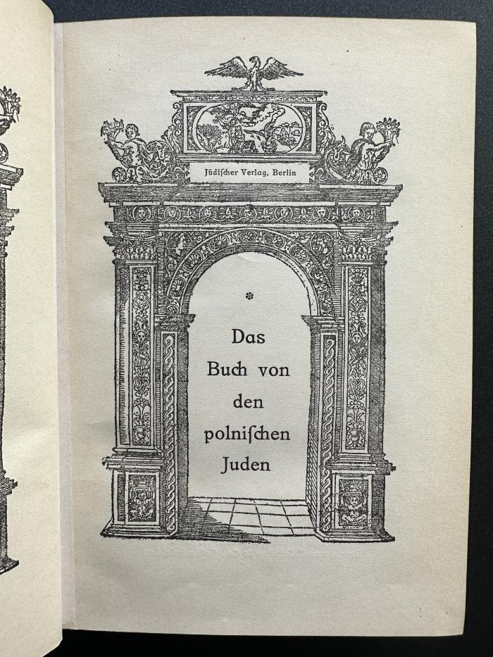 17 P 196 : Das Buch von den polnischen Juden (1916)