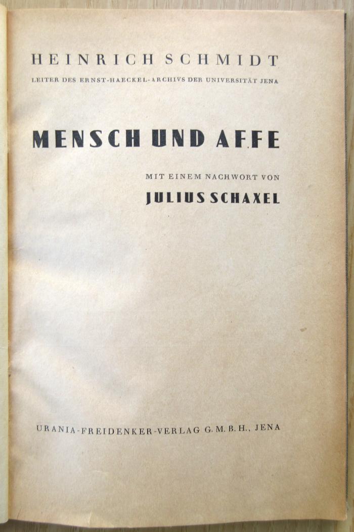 88/80/40673(2) : Mensch und Affe
 (1932)
