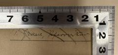 - (Graue, P.), Von Hand: Name, Berufsangabe/Titel/Branche; 'P. Graue, Pfarrvikar'. 