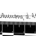 - (Lieberknecht, Irmgard;[...], Martin), Von Hand: Widmung, Name, Datum; 'Dir, lieber Martin, zur Freude! / Irmgard Lieberknecht / Hannover, d. 25.III.28.'. 