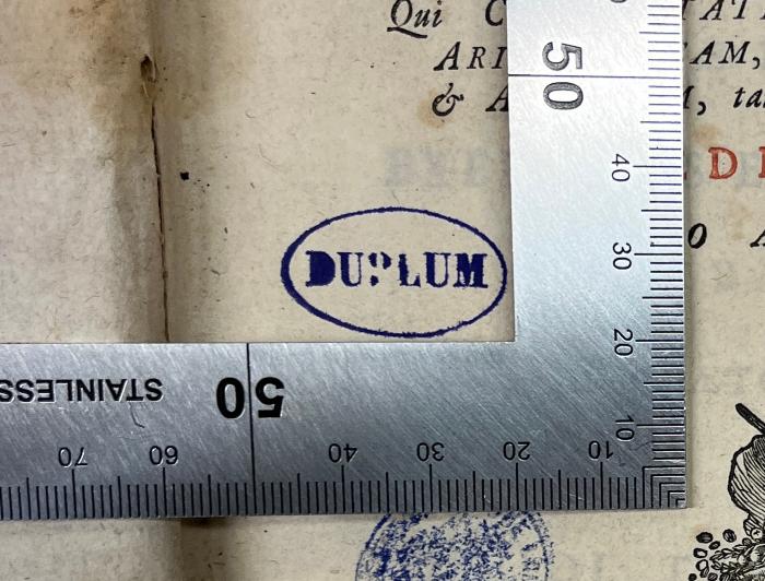 Duplum