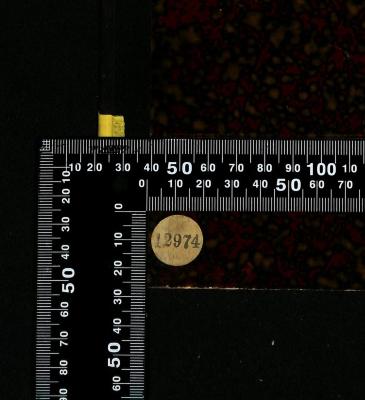 - (Bibliothek der Jüdischen Gemeinde zu Berlin), Etikett: Exemplarnummer; '12974'. 
