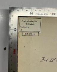 - (Graefl. Schaesberg'sche Bibliothek), Etikett: Name, Berufsangabe/Titel/Branche; 'Graefl. Schaesberg'sche Bibliothek Philosophie B'. 