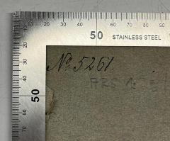 - (Gauß, Carl Friedrich), Von Hand: Nummer; 'No=5261.'. 