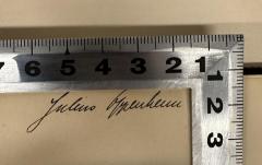 - (Oppenheim, Julius), Von Hand: Name; 'Julius Oppenheim'. 