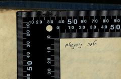 - (Nissenbaum, Helga), Von Hand: Autogramm; 'הלגה ניסנבאום'. 