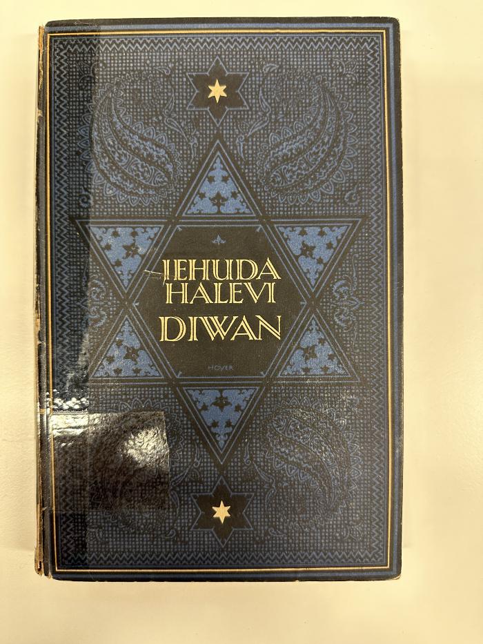 BD 4430 D618D(.1921) : Ein Diwan (1921)