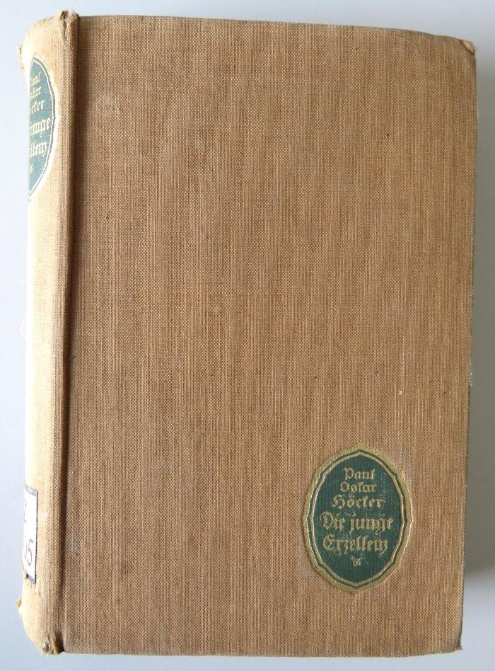 Z 3605 : Die junge Exzellenz. (1915)