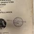 BD 9420 Z79-2 : Die Judenpogrome in Russland. 2, Einzeldarstellungen (1909)