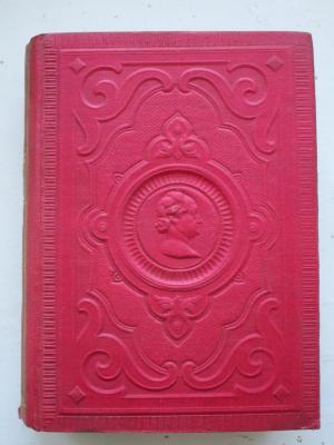  Goethe`s Werke. Nach den vorzüglichen Quellen revidierte Ausgabe; Zweiundzwanzigster Theil. Dichtung und Wahrheit