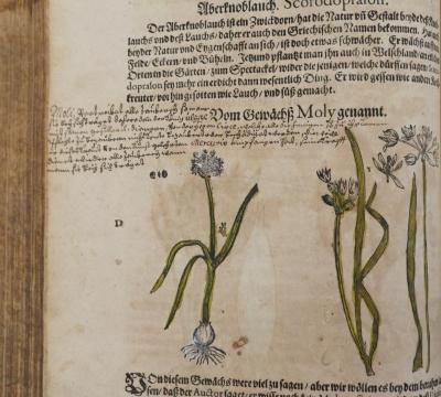 - (Serrich, L.), Von Hand: Annotation; '[verschiedene deutsche und griechische Annotationen]'. 