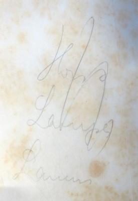 - (Lampe[?], Horst), Von Hand: Name, Ortsangabe; 'Horst
Lampe
Lauen'. 
