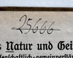 - (NSDAP-Gauarchiv und -museum Südhannover-Braunschweig), Von Hand: Signatur; '25666'. 